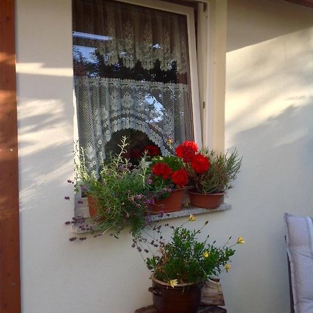 Am Mathildenbrunnen Klein Appartement Quedlinburg Buitenkant foto