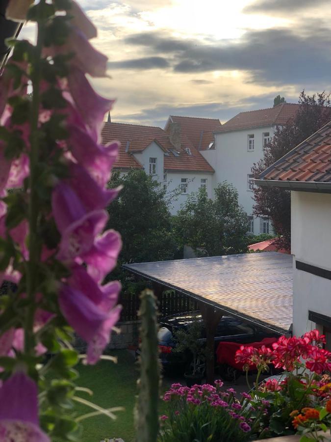 Am Mathildenbrunnen Klein Appartement Quedlinburg Buitenkant foto